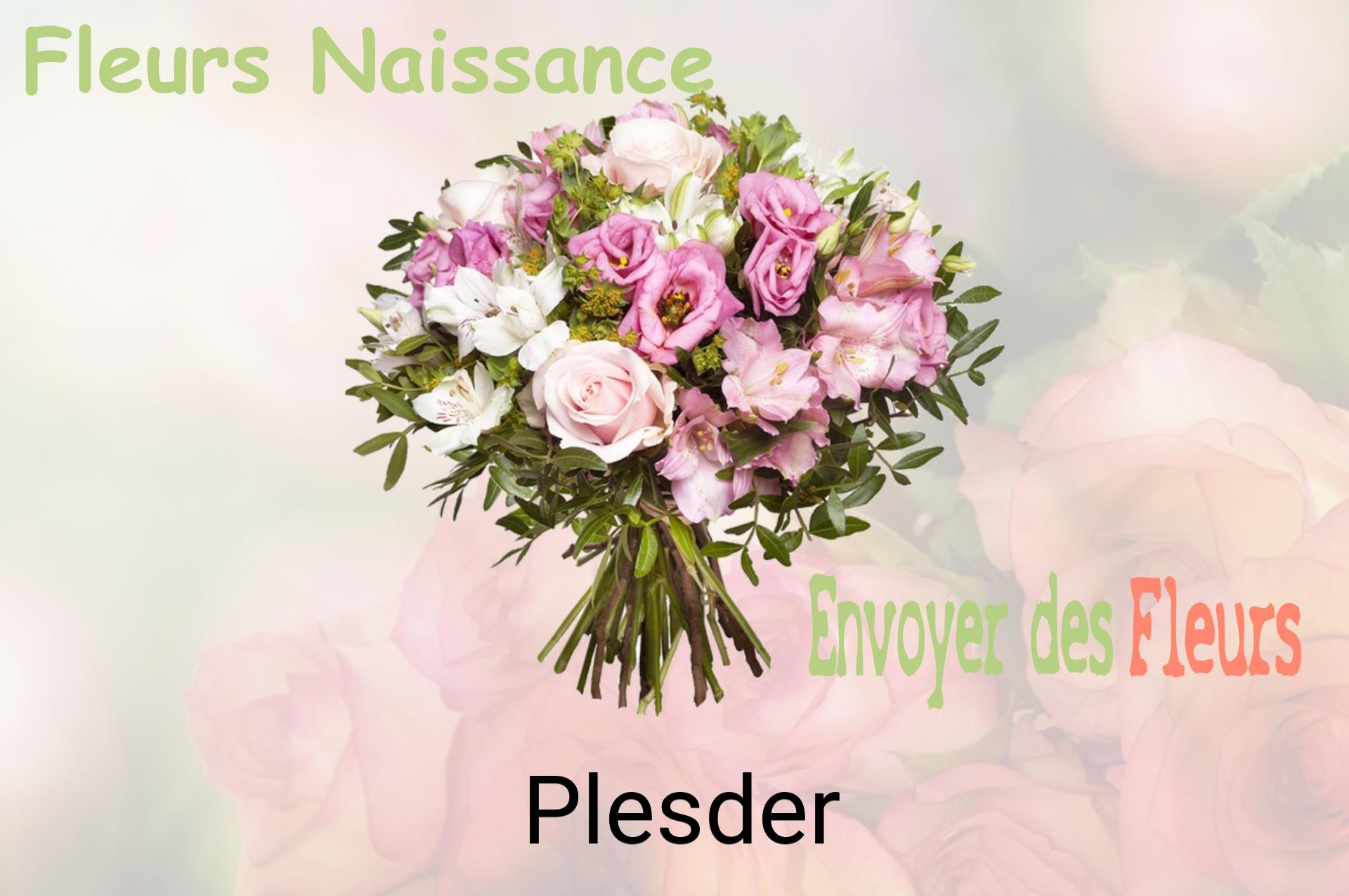 Bouquet de fleurs de naissance livré à Plesder