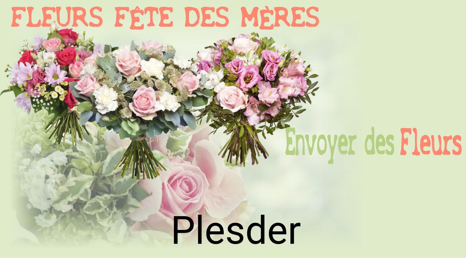 Bouquet de Fête des Mères livré à Plesder